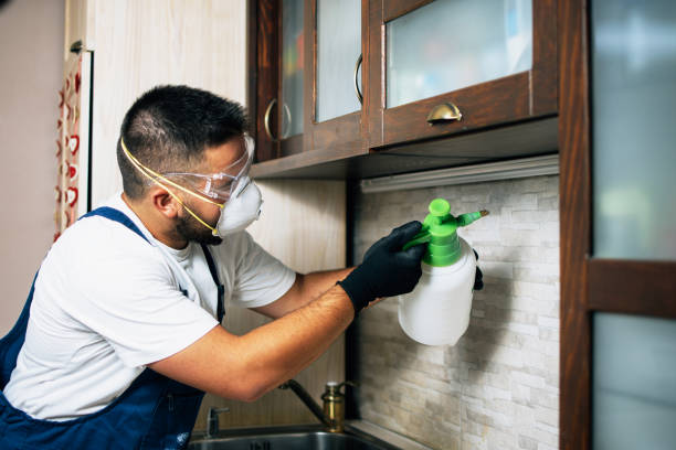 Best Bed Bug Extermination  in Cave Creek, AZ