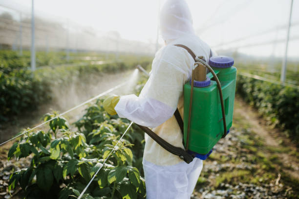 Cave Creek, AZ Pest Control Company